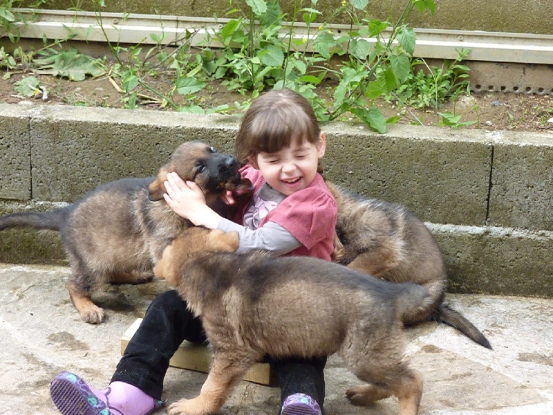 CHIOTS 